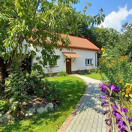 Vila Ranczo Na Skarpie Frampol Exteriér fotografie